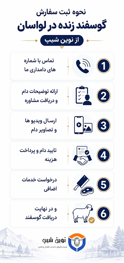 مراحل خرید گوسفند زنده از نوین شیپ در لواسان
