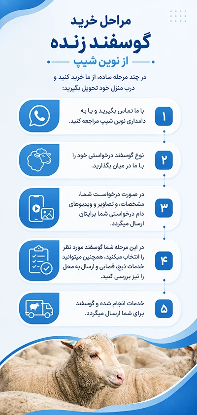 مراحل خرید گوسفند زنده در پاکدشت