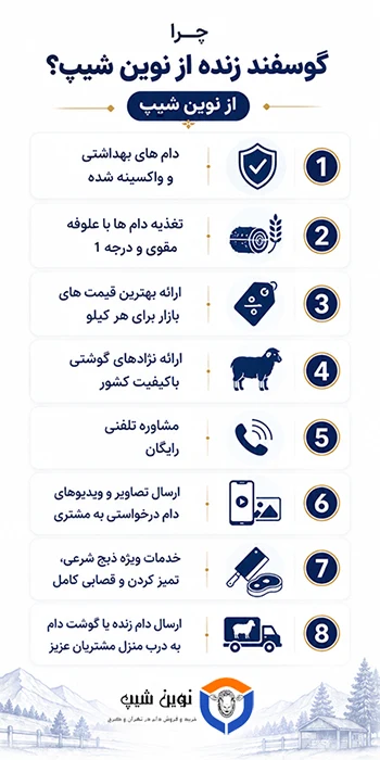 چرا باید در لواسان از نوین شیپ گوسفند بخرید