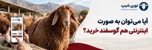 آیا میتوان به صورت اینترنتی گوسفند زنده خرید؟