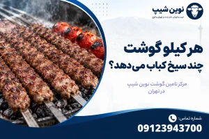 هر کیلو گوشت چند سیخ کباب میدهد؟